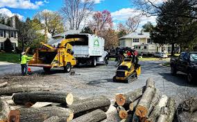 Best Tree and Shrub Care  in Sansom Park, TX